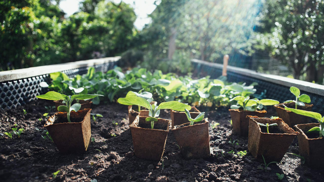 EU Organic Day: Bio feiern & Zukunft gestalten
