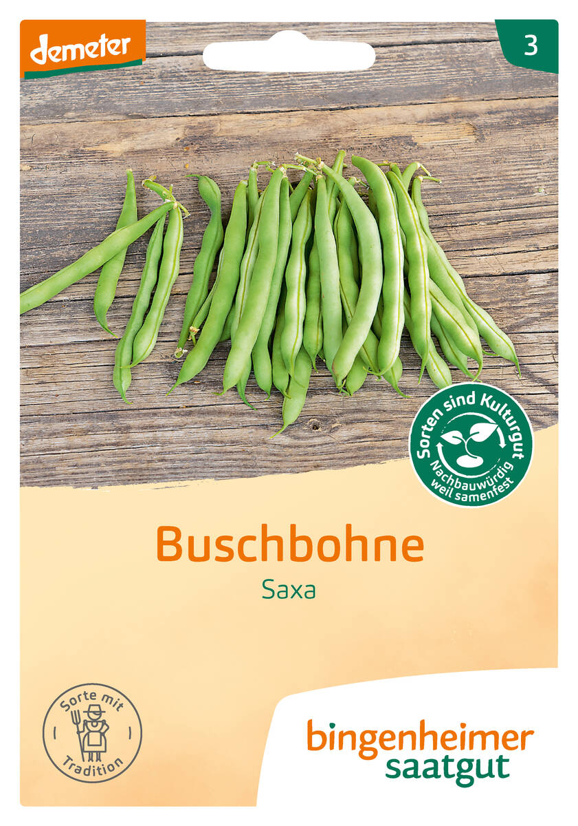 Bingenheimer Saatgut Buschbohne Saxa Bingenheimer Saatgut Buschbohne Saxa