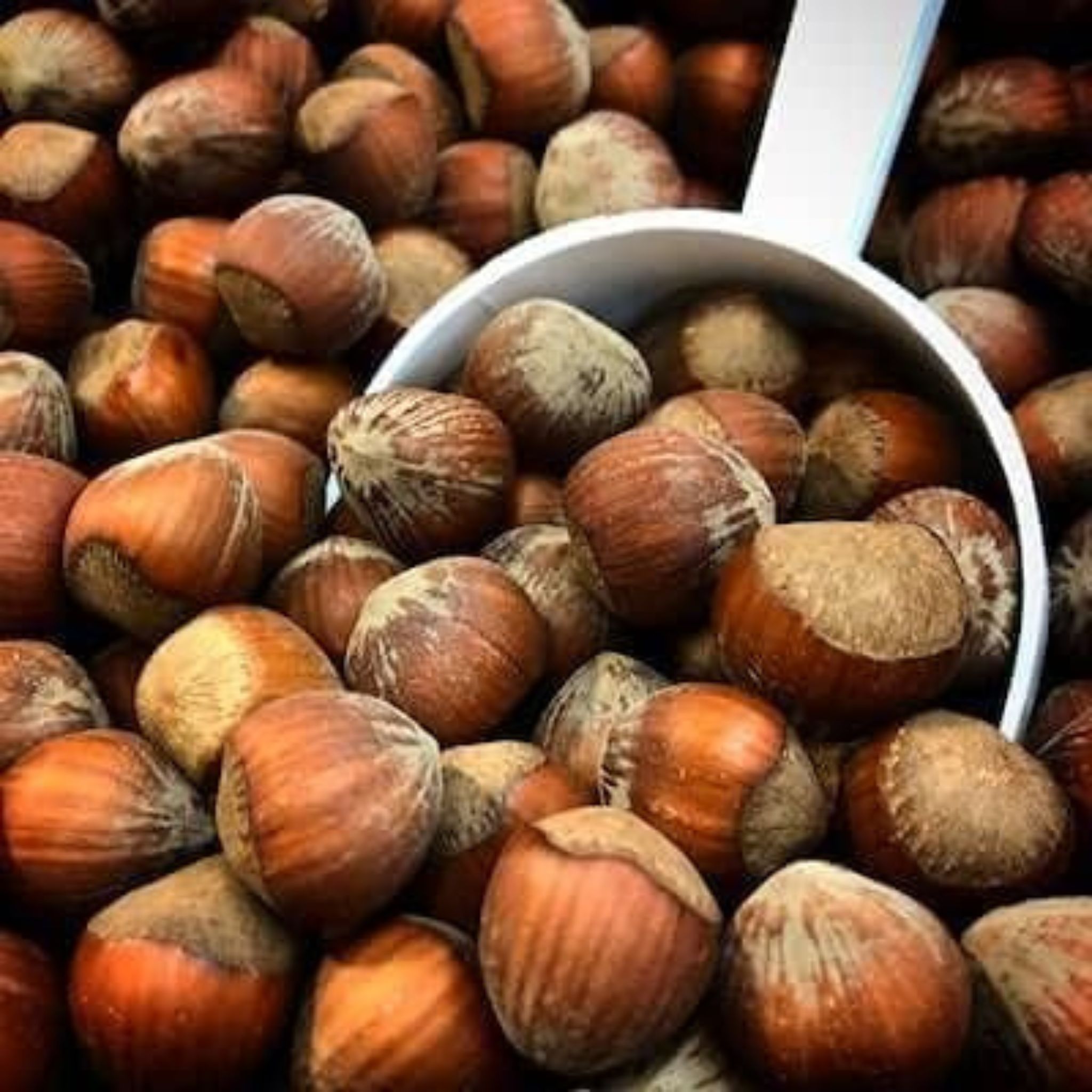 Noisettes avec coque 2,5 kg