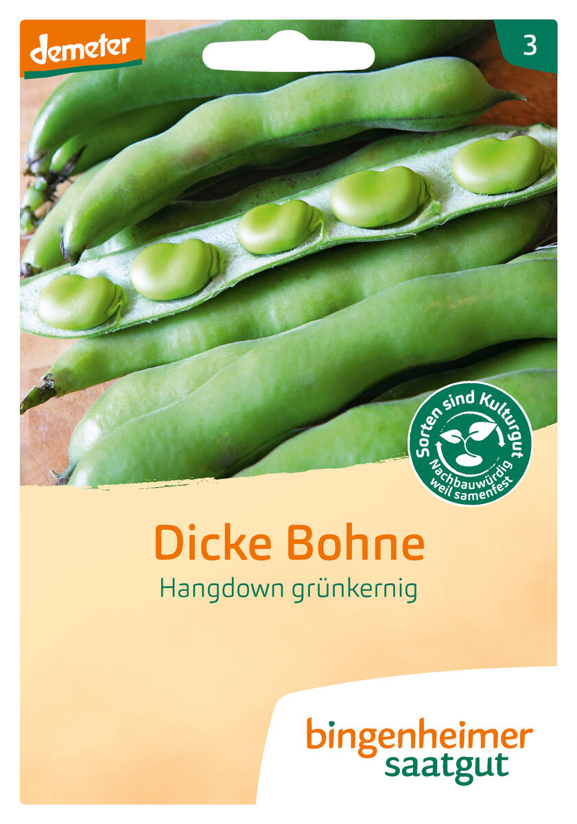 Bingenheimer Saatgut Dicke Bohne Hangdown Bingenheimer Saatgut Dicke Bohne Hangdown