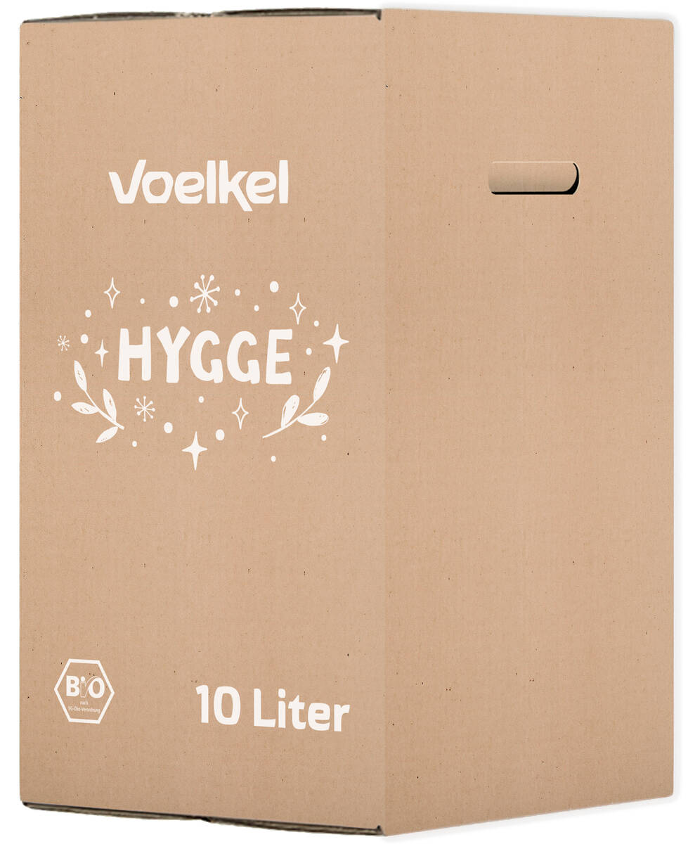 Bio Hygge Punsch Apfel-Blaubeere 1 Karton á 10l
