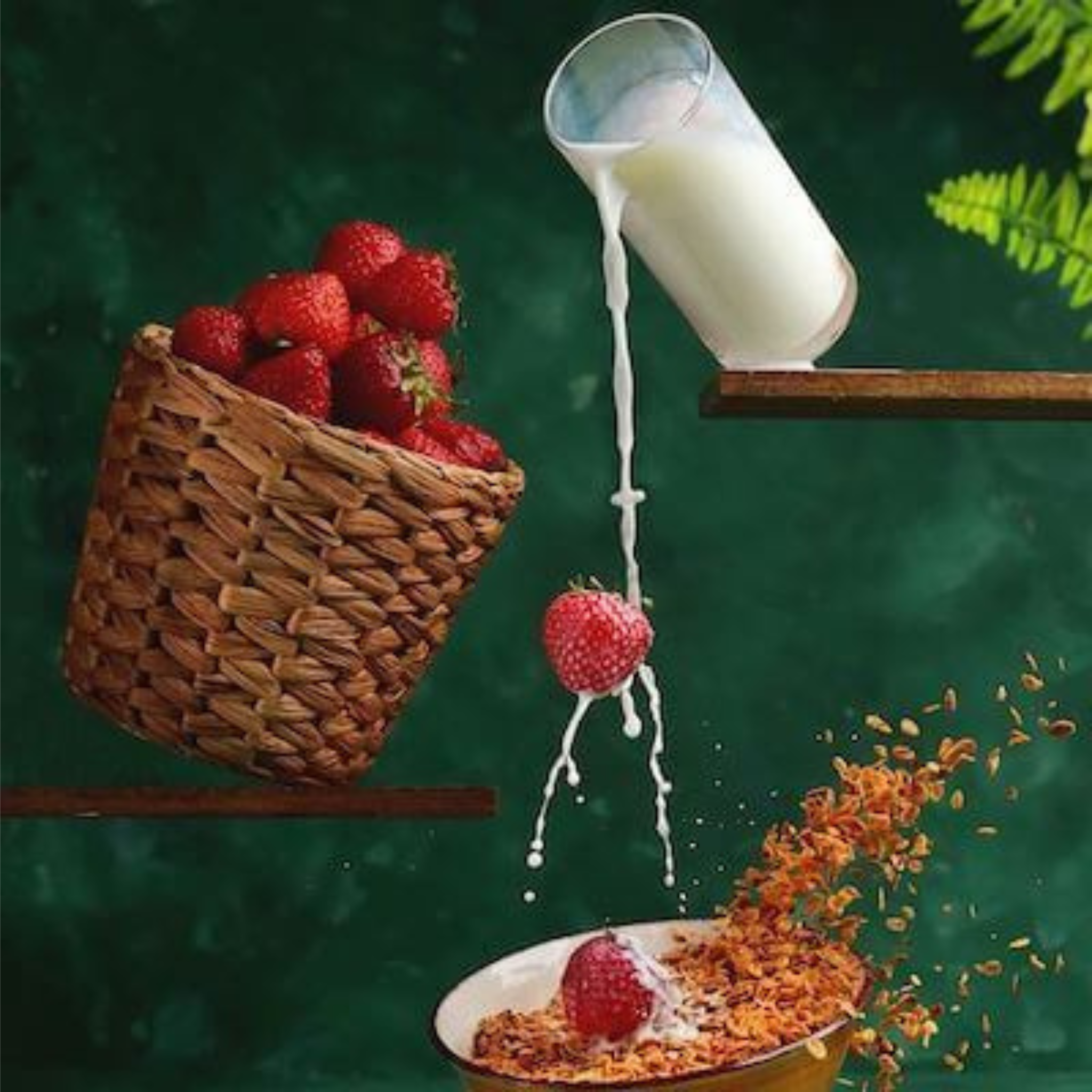 Lait entier en poudre bio 25kg