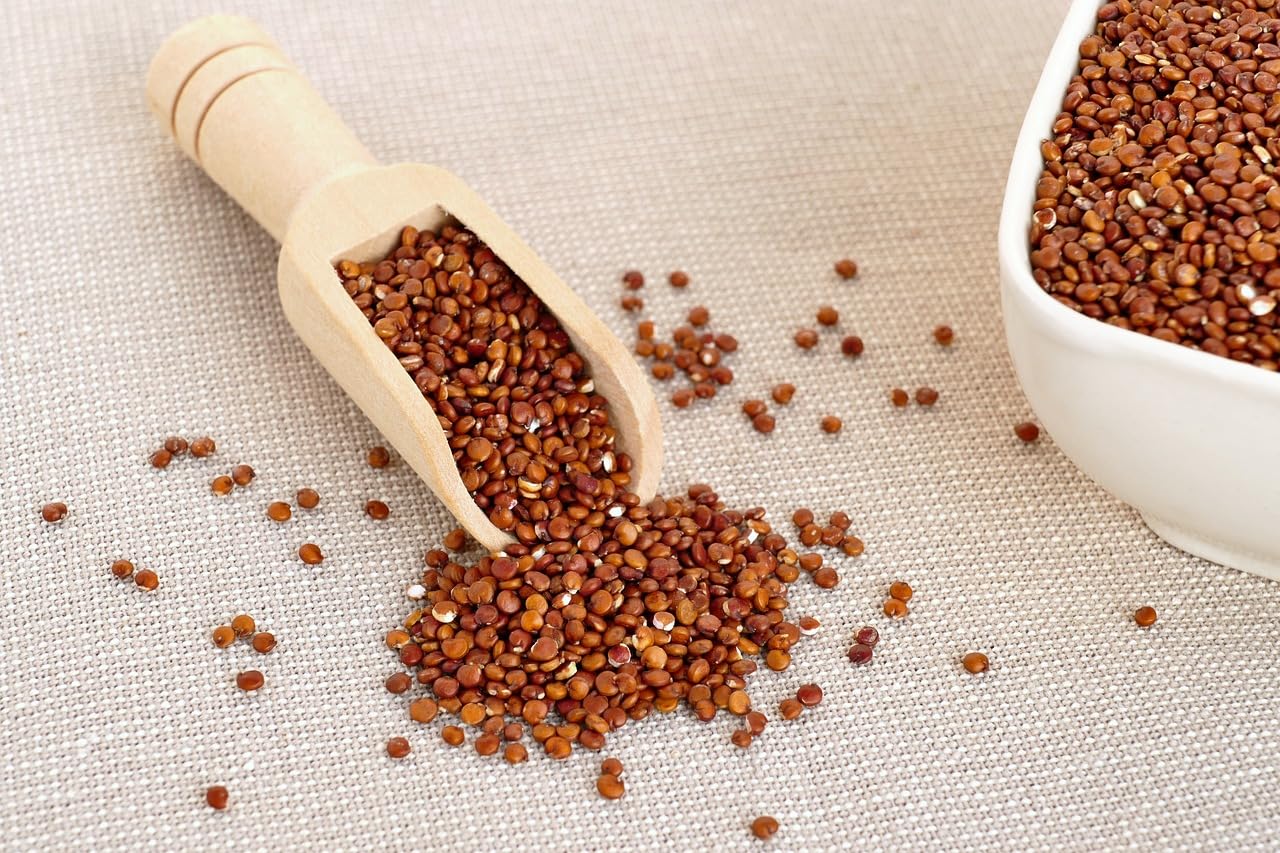 Quinoa bio, rouge Quinoa bio, rouge