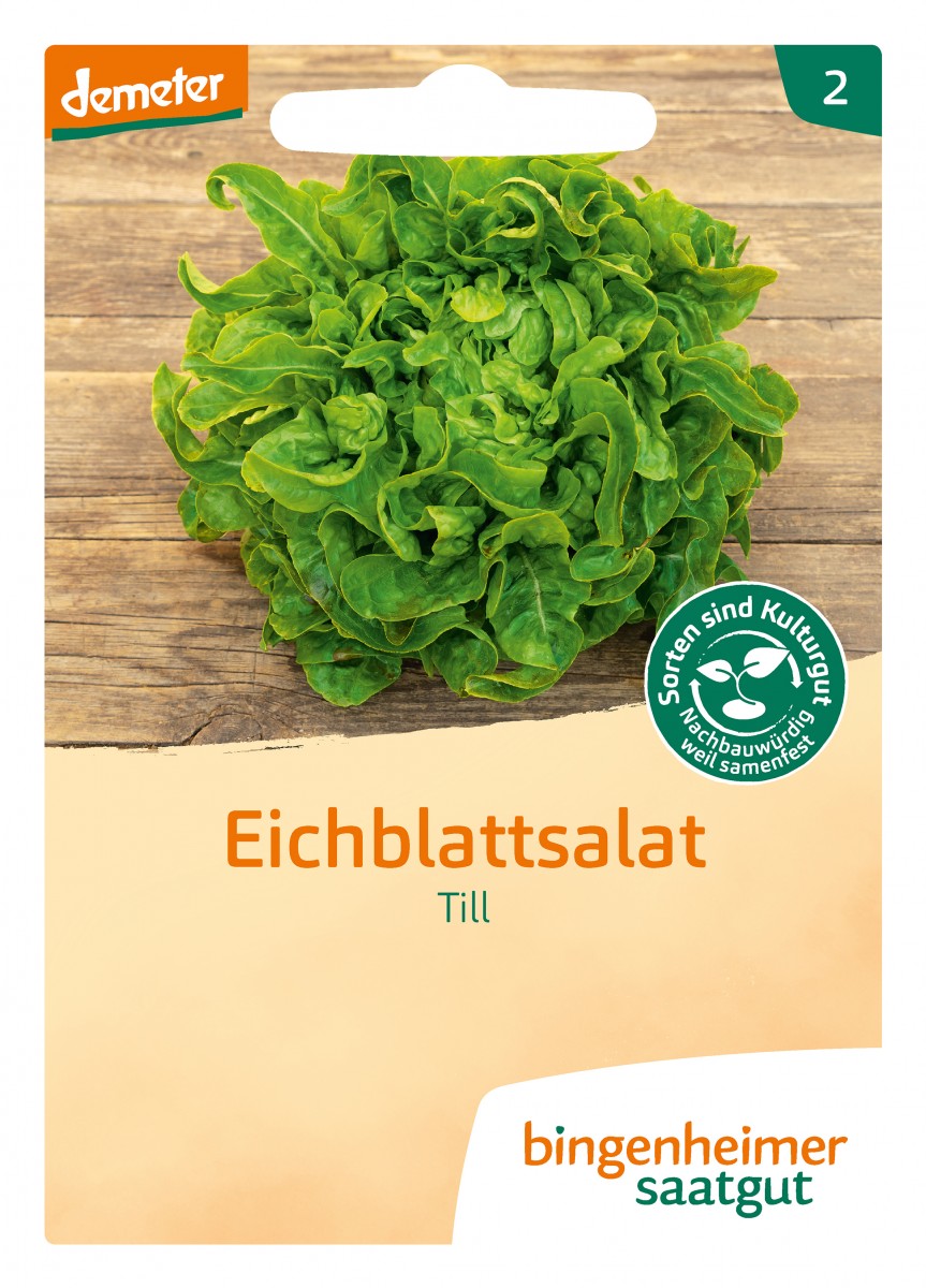 Bingenheimer Saatgut Eichblattsalat Pflücksalat Bingenheimer Saatgut Eichblattsalat Pflücksalat