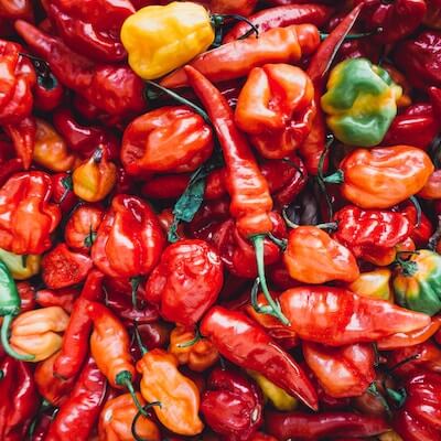 Die Chili