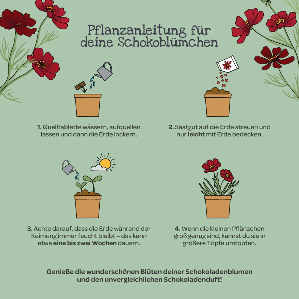 Stadtgärtner Fiore al cioccolato nel bicchiere – 1 pezzo