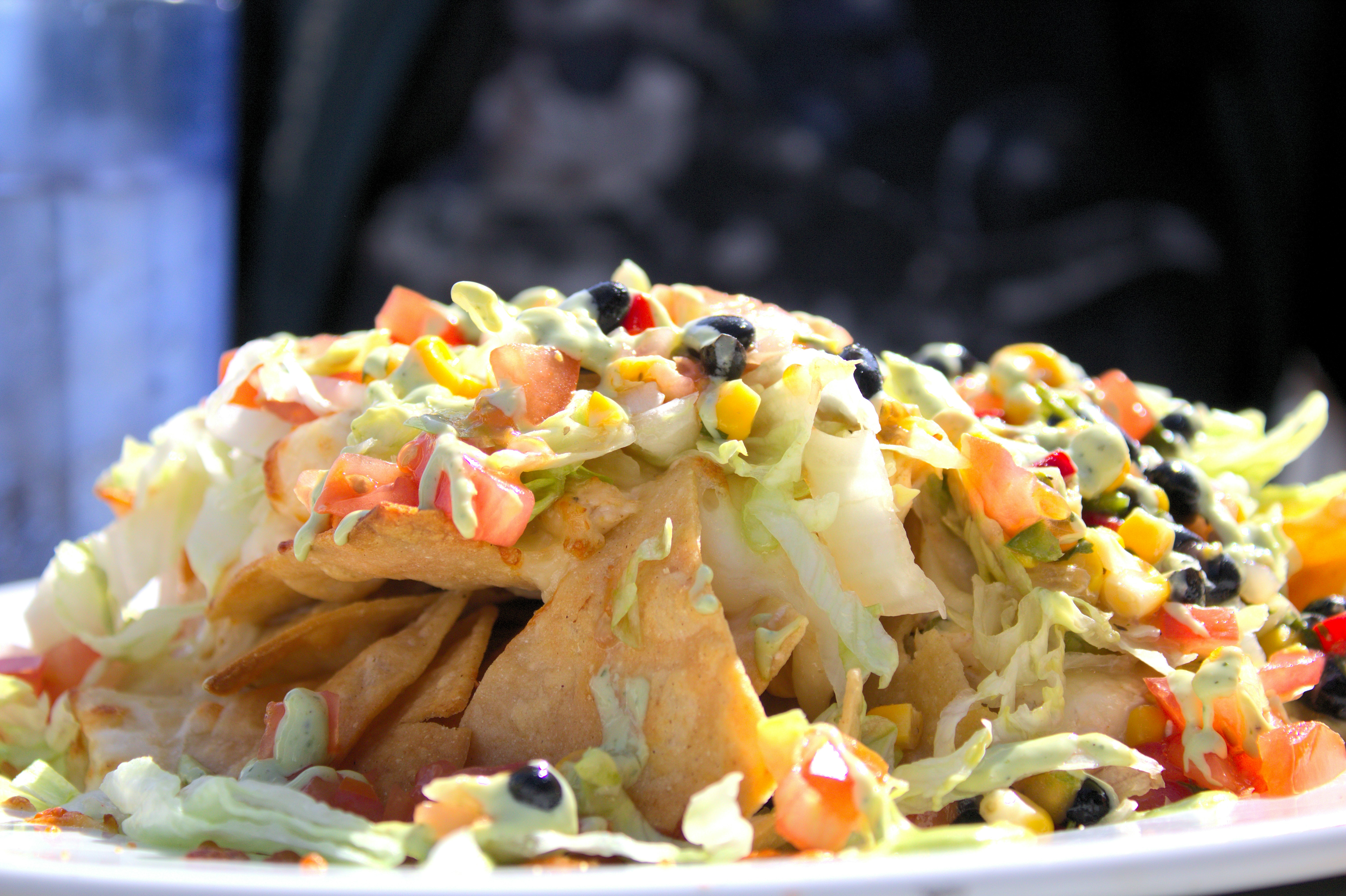 Haricots noirs bio, tortue noire 25 kg