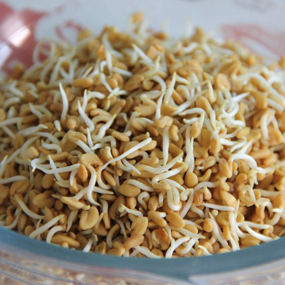 Graines de fenugrec bio 250 g