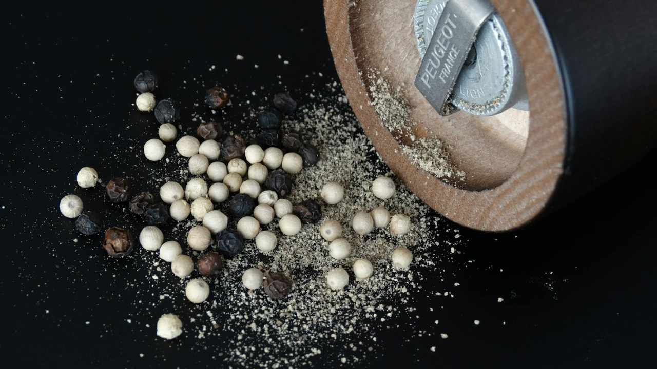 Weißer Pfeffer Pimienta blanca