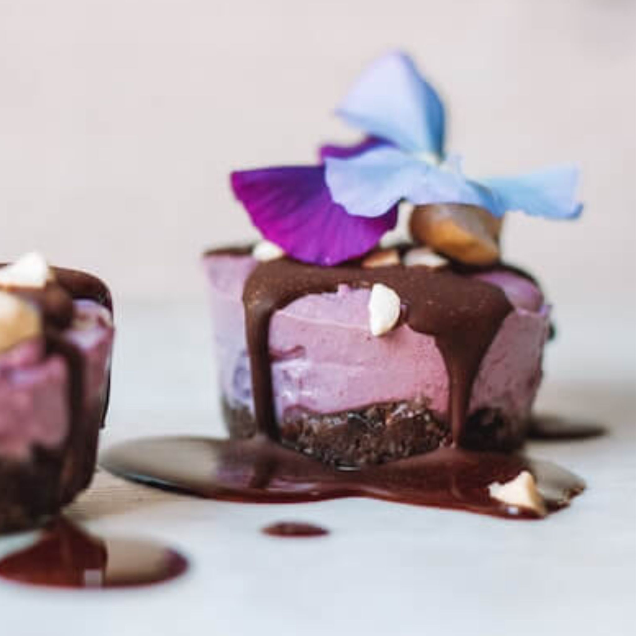 Poudre de myrtille sauvage bio 1kg