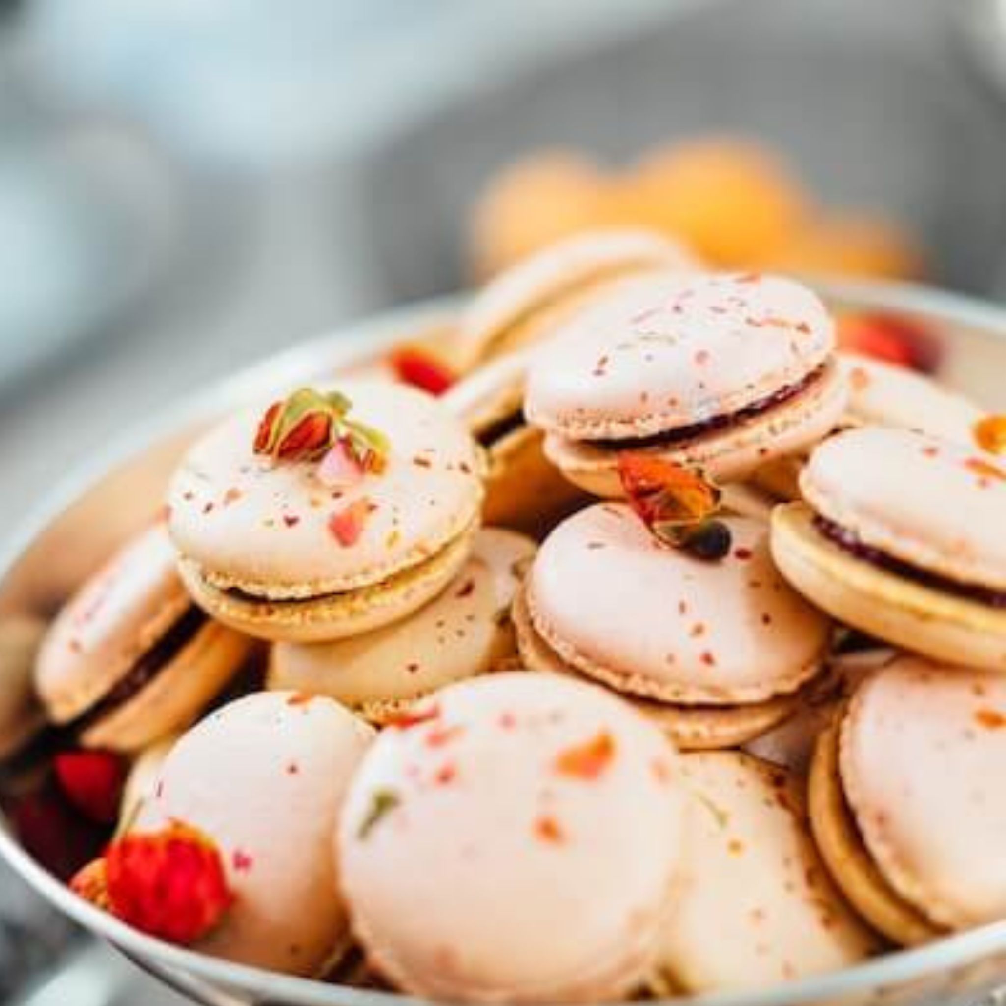 Polvere di rosa canina biologica 1 kg