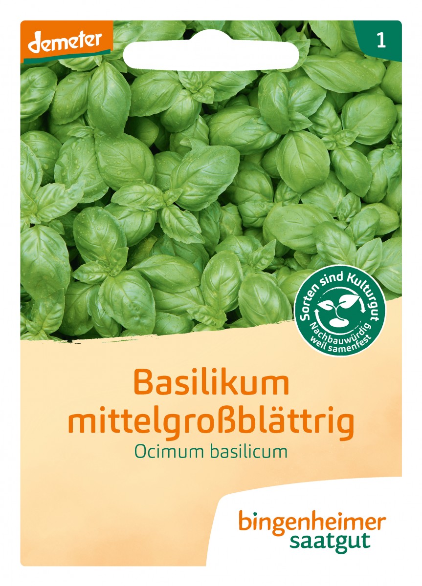 Bingenheimer Saatgut Basilikum mittelgroßblättrig Bingenheimer Saatgut Basilikum mittelgroßblättrig