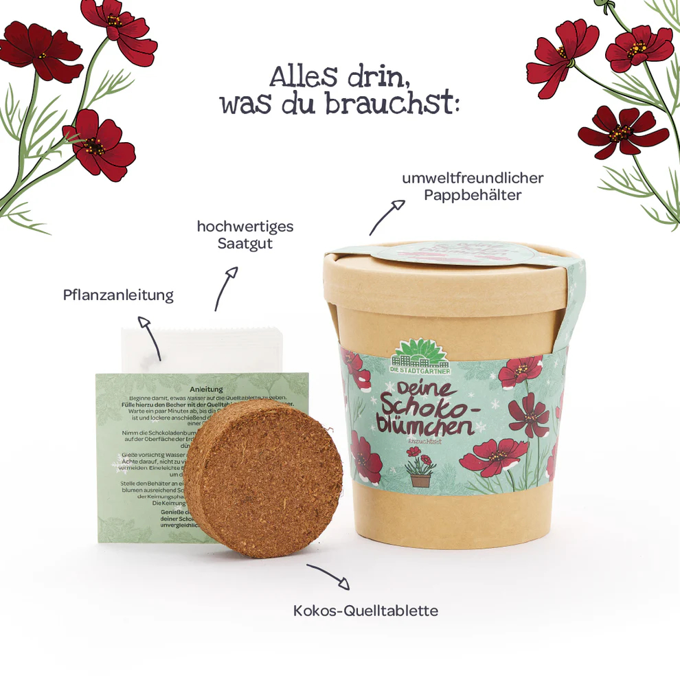 Stadtgärtner Fiore al cioccolato nel bicchiere – 1 pezzo