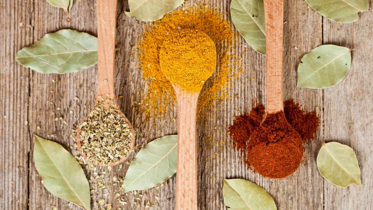 Gewürzpulver Especias en polvo