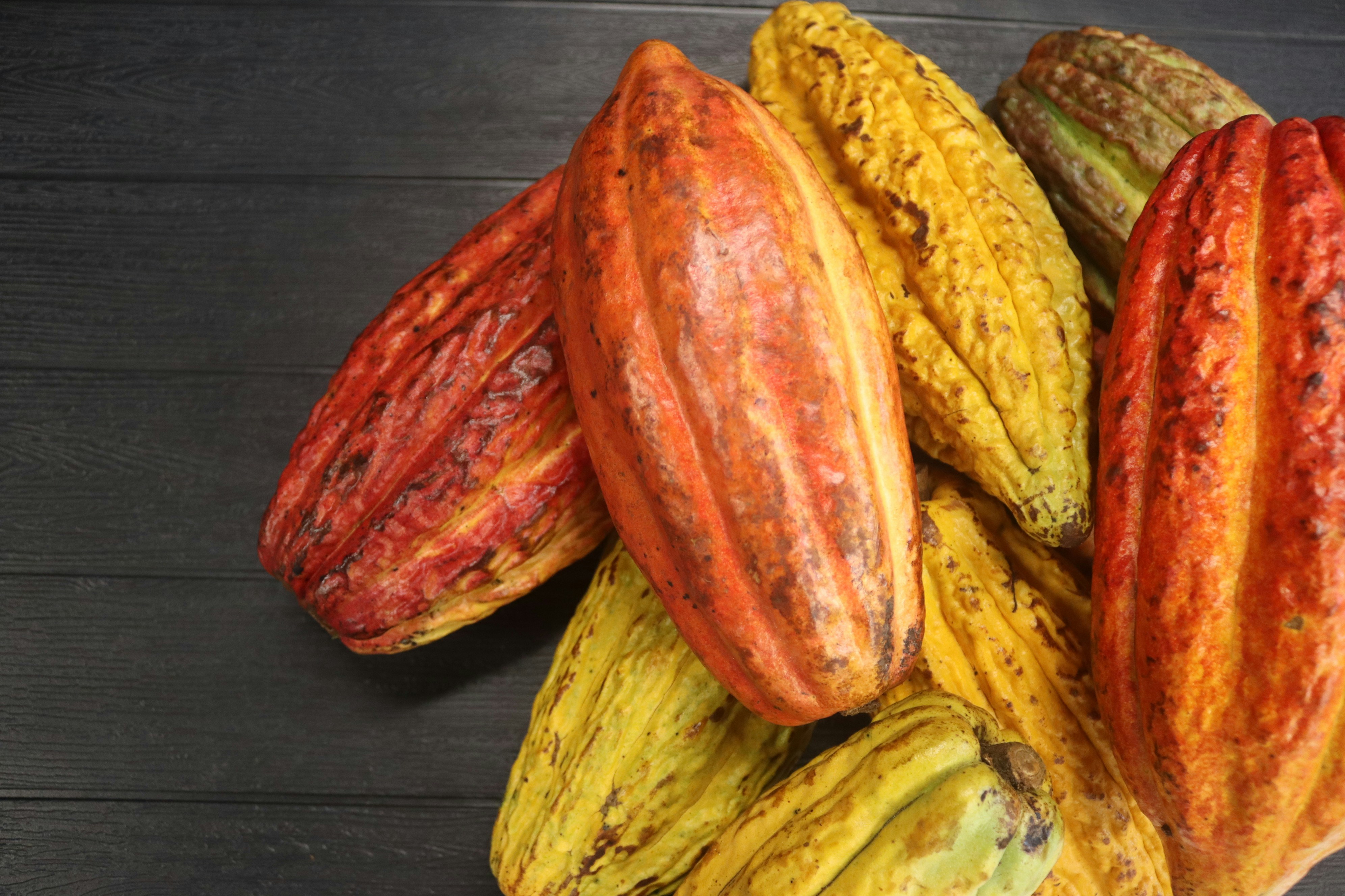 Barry Callebaut Kakaopulver stark entölt alkalisiert  - 1kg