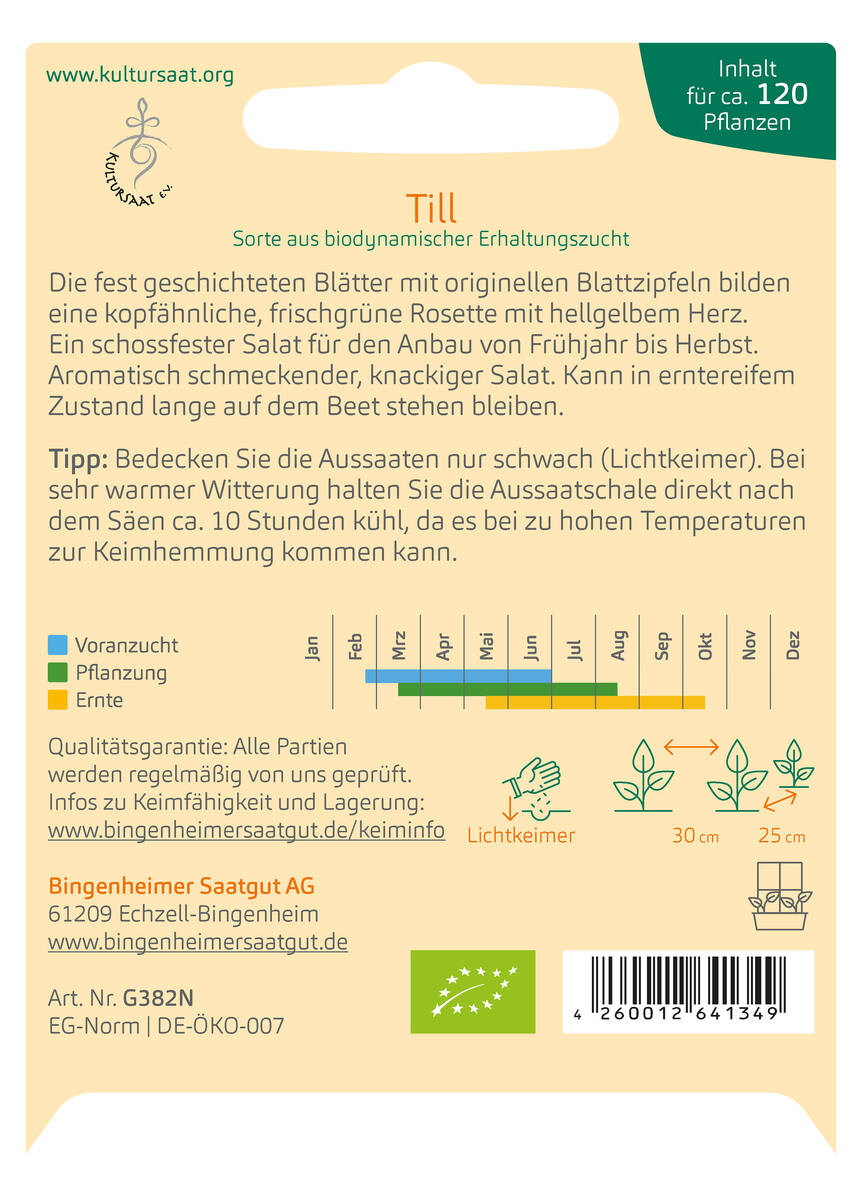 Bingenheimer Saatgut Eichblattsalat Pflücksalat Bingenheimer Saatgut Eichblattsalat Pflücksalat