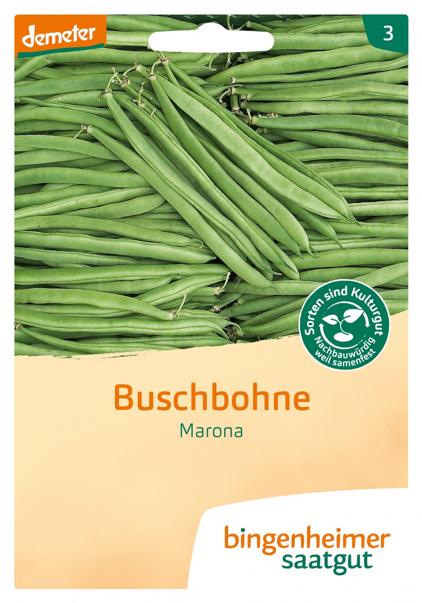 Bingenheimer Saatgut Buschbohne Marona Bingenheimer Saatgut Buschbohne Marona