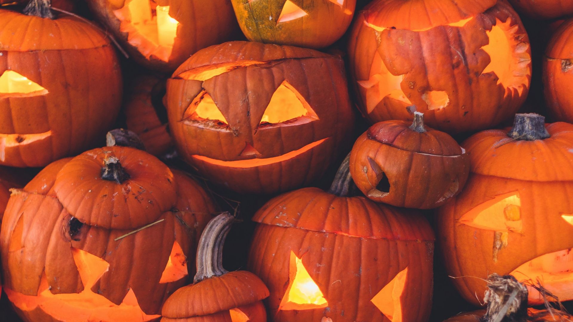 Die Geschichte von Halloween – jetzt bei Kamelur erfahren