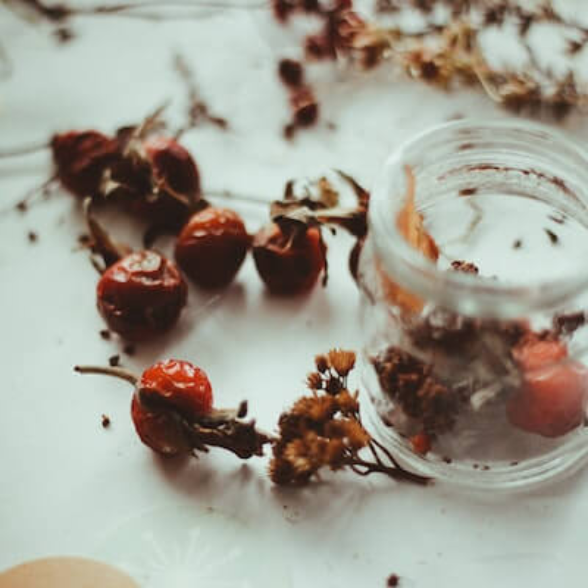 Cynorrhodons bio, entiers 1 kg