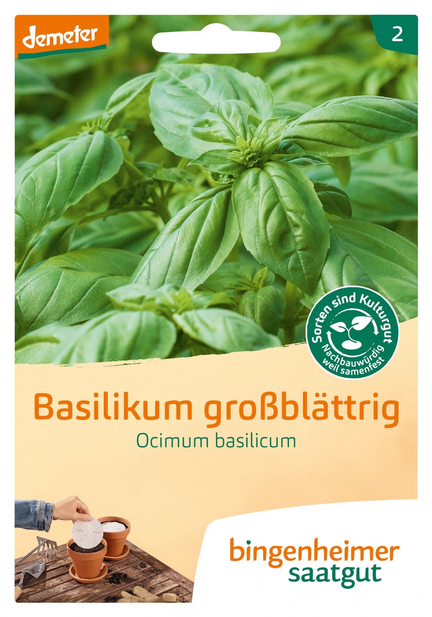 Bingenheimer Saatgut Basilikum großblättrig Saatscheibe Bingenheimer Saatgut Basilikum großblättrig Saatscheibe