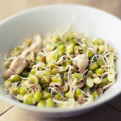 How-to-grow-Sprouts!