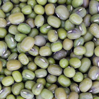Haricots mungo bio