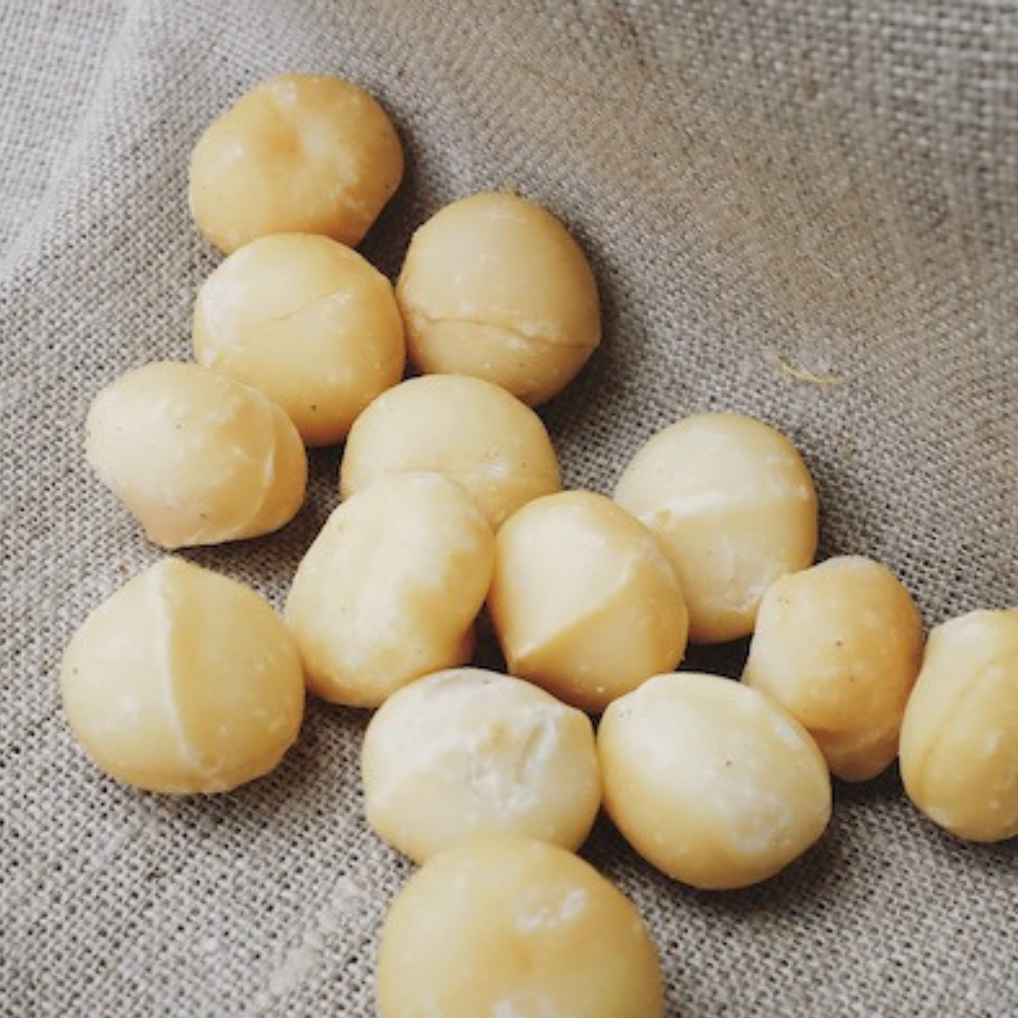 Noix de macadamia 1 kg