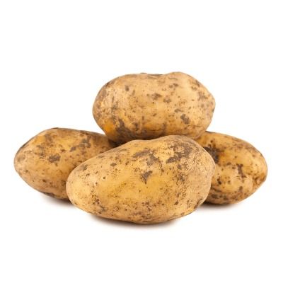 Kartoffel Karlena mehligkochend BIO